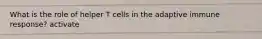 What is the role of helper T cells in the adaptive immune response? activate