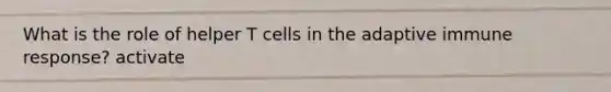 What is the role of helper T cells in the adaptive immune response? activate