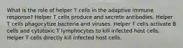 What is the role of helper T cells in the adaptive immune response? Helper T cells produce and secrete antibodies. Helper T cells phagocytize bacteria and viruses. Helper T cells activate B cells and cytotoxic T lymphocytes to kill infected host cells. Helper T cells directly kill infected host cells.