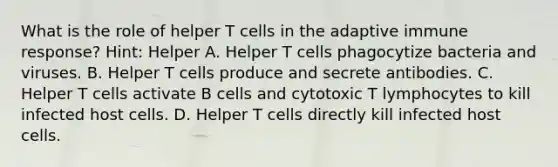 What is the role of helper T cells in the adaptive immune response? Hint: Helper A. Helper T cells phagocytize bacteria and viruses. B. Helper T cells produce and secrete antibodies. C. Helper T cells activate B cells and cytotoxic T lymphocytes to kill infected host cells. D. Helper T cells directly kill infected host cells.