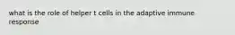 what is the role of helper t cells in the adaptive immune response