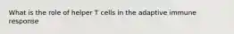 What is the role of helper T cells in the adaptive immune response