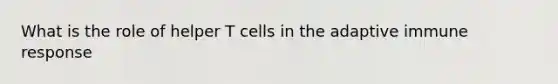 What is the role of helper T cells in the adaptive immune response