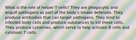 What is the role of helper T cells? They are phagocytic and engulf pathogens as part of the body's innate defenses. They produce antibodies that can target pathogens. They bind to infected body cells and produce substances to kill these cells. They produce cytokines, which serve to help activate B cells and cytotoxic T cells.