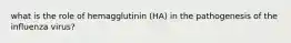 what is the role of hemagglutinin (HA) in the pathogenesis of the influenza virus?