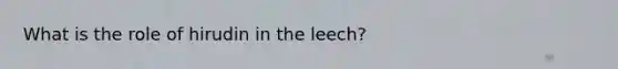 What is the role of hirudin in the leech?