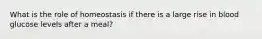 What is the role of homeostasis if there is a large rise in blood glucose levels after a meal?