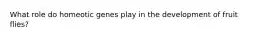 What role do homeotic genes play in the development of fruit flies?