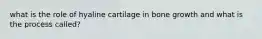 what is the role of hyaline cartilage in bone growth and what is the process called?