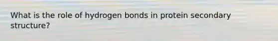 What is the role of hydrogen bonds in protein secondary structure?