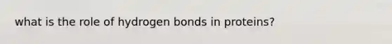 what is the role of hydrogen bonds in proteins?