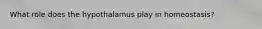 What role does the hypothalamus play in homeostasis?