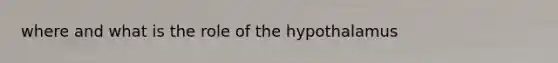 where and what is the role of the hypothalamus