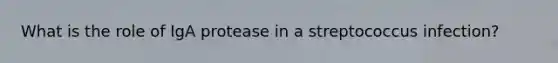 What is the role of IgA protease in a streptococcus infection?