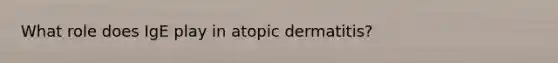 What role does IgE play in atopic dermatitis?