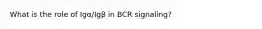 What is the role of Igα/Igβ in BCR signaling?