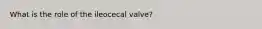 What is the role of the ileocecal valve?