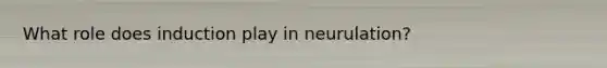 What role does induction play in neurulation?