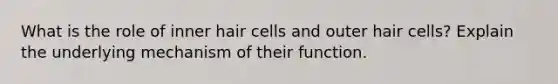 What is the role of inner hair cells and outer hair cells? Explain the underlying mechanism of their function.