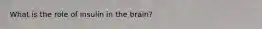 What is the role of insulin in the brain?