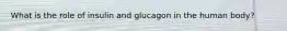 What is the role of insulin and glucagon in the human body?