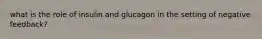 what is the role of insulin and glucagon in the setting of negative feedback?