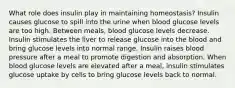 What role does insulin play in maintaining homeostasis? Insulin causes glucose to spill into the urine when blood glucose levels are too high. Between meals, blood glucose levels decrease. Insulin stimulates the liver to release glucose into the blood and bring glucose levels into normal range. Insulin raises blood pressure after a meal to promote digestion and absorption. When blood glucose levels are elevated after a meal, insulin stimulates glucose uptake by cells to bring glucose levels back to normal.