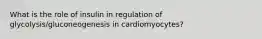 What is the role of insulin in regulation of glycolysis/gluconeogenesis in cardiomyocytes?