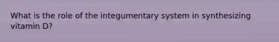 What is the role of the integumentary system in synthesizing vitamin D?