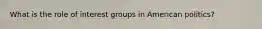What is the role of interest groups in American politics?