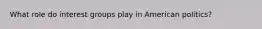 What role do interest groups play in American politics?