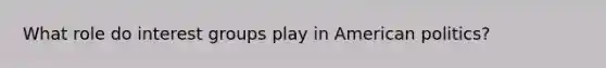What role do interest groups play in American politics?