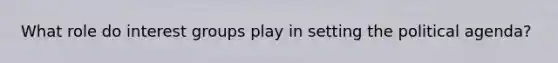 What role do interest groups play in setting the political agenda?