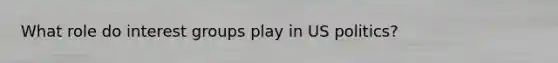 What role do interest groups play in US politics?