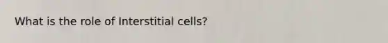 What is the role of Interstitial cells?