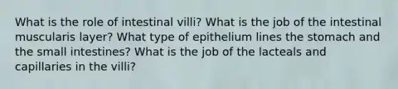 What is the role of intestinal villi? What is the job of the intestinal muscularis layer? What type of epithelium lines the stomach and the small intestines? What is the job of the lacteals and capillaries in the villi?