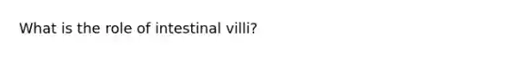 What is the role of intestinal villi?