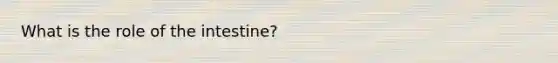 What is the role of the intestine?