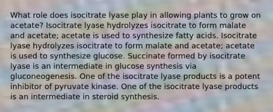 What role does isocitrate lyase play in allowing plants to grow on acetate? Isocitrate lyase hydrolyzes isocitrate to form malate and acetate; acetate is used to synthesize fatty acids. Isocitrate lyase hydrolyzes isocitrate to form malate and acetate; acetate is used to synthesize glucose. Succinate formed by isocitrate lyase is an intermediate in glucose synthesis via gluconeogenesis. One of the isocitrate lyase products is a potent inhibitor of pyruvate kinase. One of the isocitrate lyase products is an intermediate in steroid synthesis.