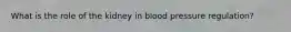 What is the role of the kidney in blood pressure regulation?
