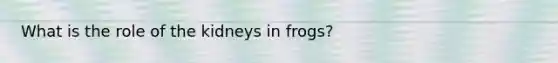 What is the role of the kidneys in frogs?