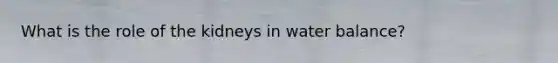 What is the role of the kidneys in water balance?