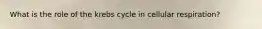 What is the role of the krebs cycle in cellular respiration?