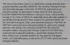 The role of the Krebs Cycle is A. generates energy directly from acetoacetylCoA, provides NADH for the electron transport chain, and provides energy in the form of ATP from substrate level phosphorylation B. generates energy directly from pyruvate, provides NADPH for the electron transport chain, and provides energy in the form of ATP from substrate level phosphorylation C. generates energy directly from acetyl CoA, provides NADH for the electron transport chain, and provides energy in the form of GDP from substrate level phosphorylation D. generates energy directly from acetyl CoA, provides NADPH for the electron transport chain, and provides energy in the form of ADP from substrate level phosphorylation e. generates energy directly from acetyl CoA, provides NADPH for the electron transport chain, and provised enery in the form of GTP from substrate level phosphorylation