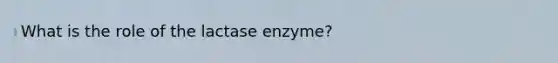 What is the role of the lactase enzyme?