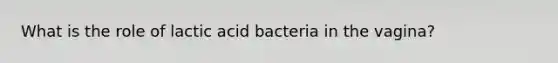 What is the role of lactic acid bacteria in the vagina?