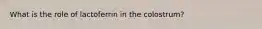 What is the role of lactoferrin in the colostrum?