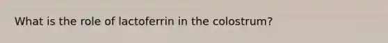 What is the role of lactoferrin in the colostrum?