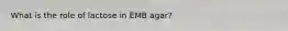 What is the role of lactose in EMB agar?