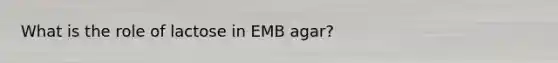 What is the role of lactose in EMB agar?